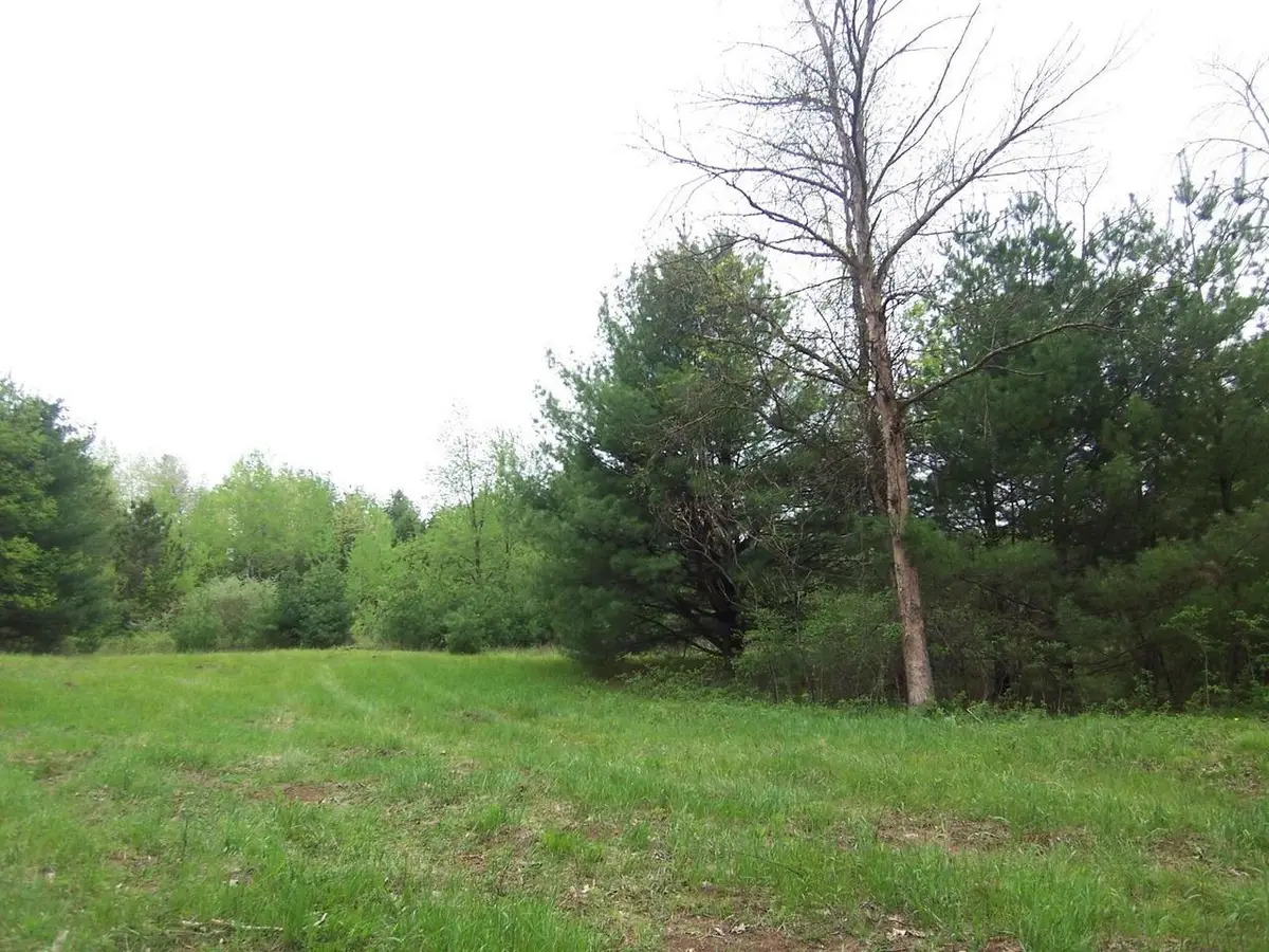 COUNTY ROAD S, Sobieski, WI 54171 - #1
