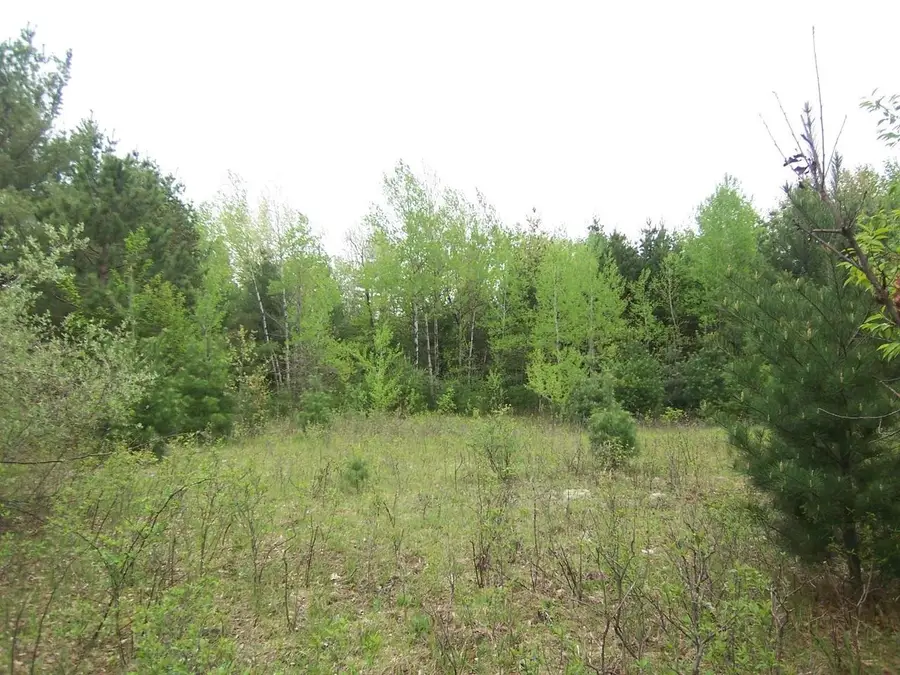 COUNTY ROAD S, Sobieski, WI 54171 - #2