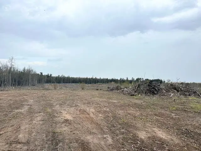 12.5 ROAD, Wallace, MI 49893 - #2