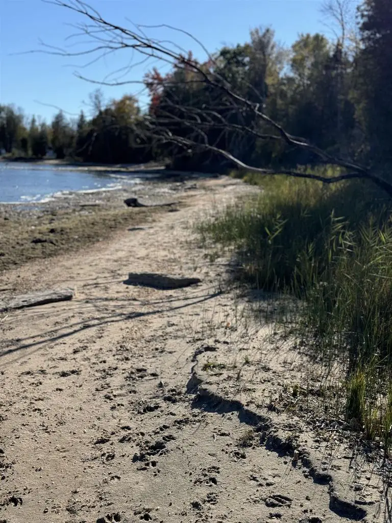 M-35, Menominee, MI 49858 - #3