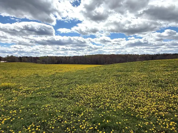 ELM ROAD, Birnamwood, WI 54414