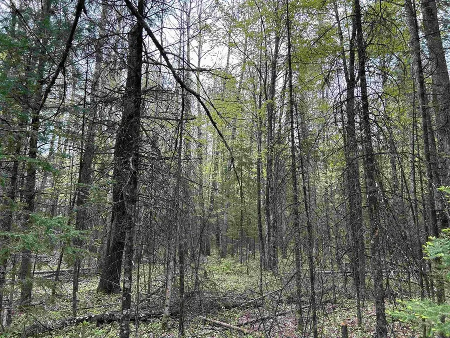 CTH W, White Lake, WI 54491 - #3