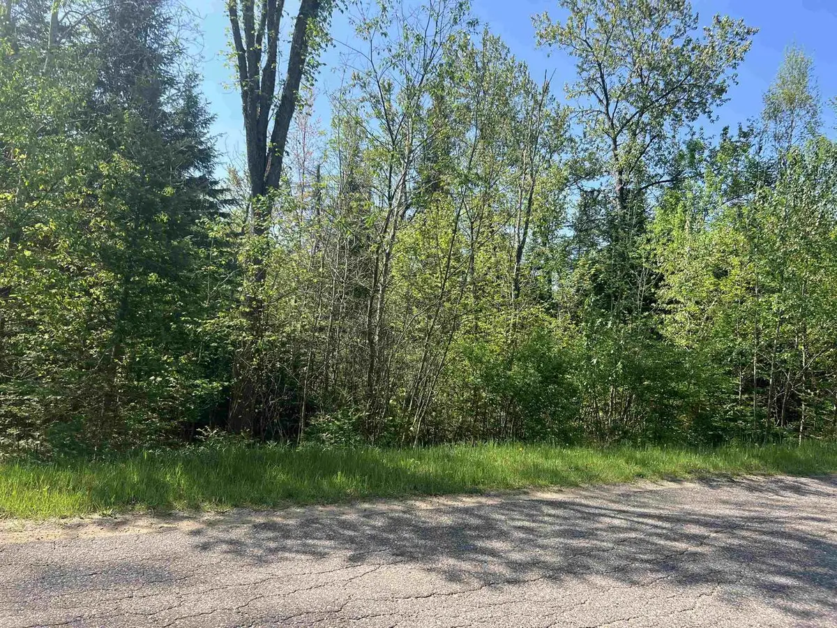 FOREST HILL DRIVE, Townsend, WI 54175 - #1