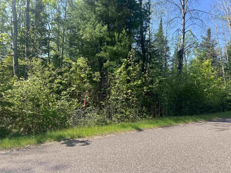 FOREST HILL DRIVE, Townsend, WI 54175 - #2