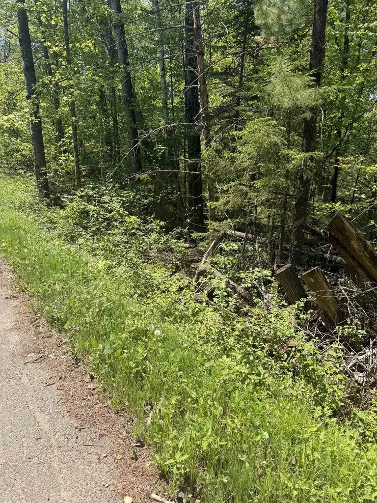 LOWER DAM ROAD, Mountain, WI 54149 - #1