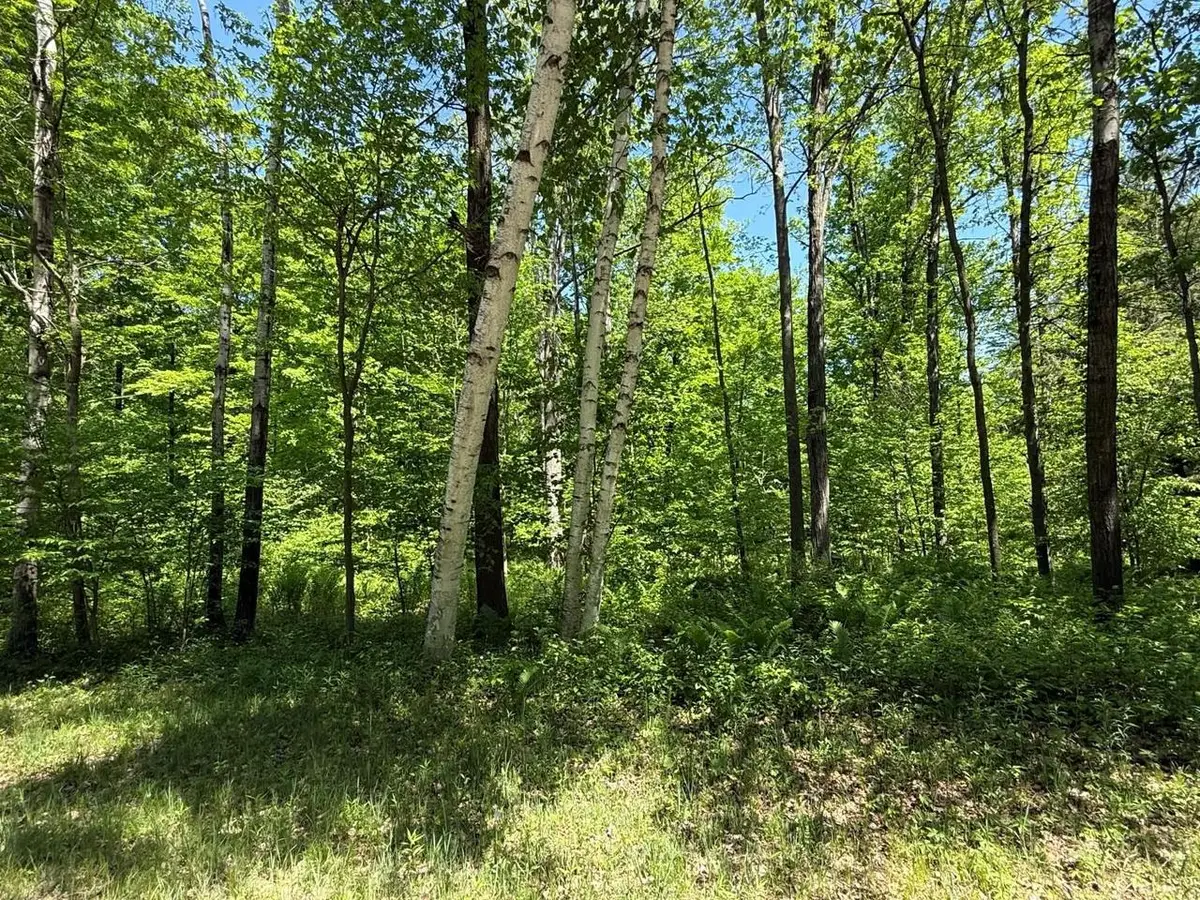 WILDERNESS TRAIL, Green Bay, WI 54313 - #1