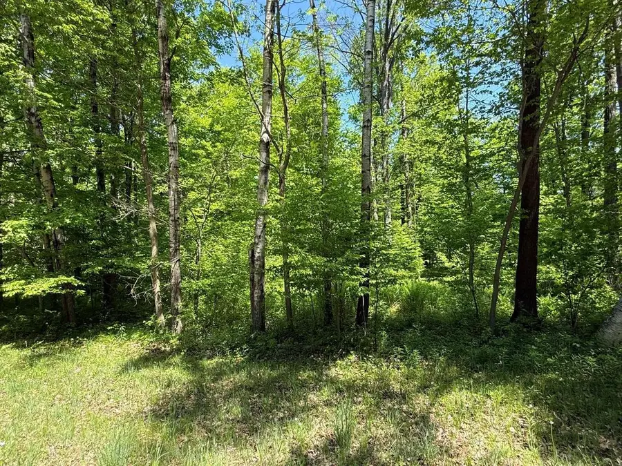 WILDERNESS TRAIL, Green Bay, WI 54313 - #2