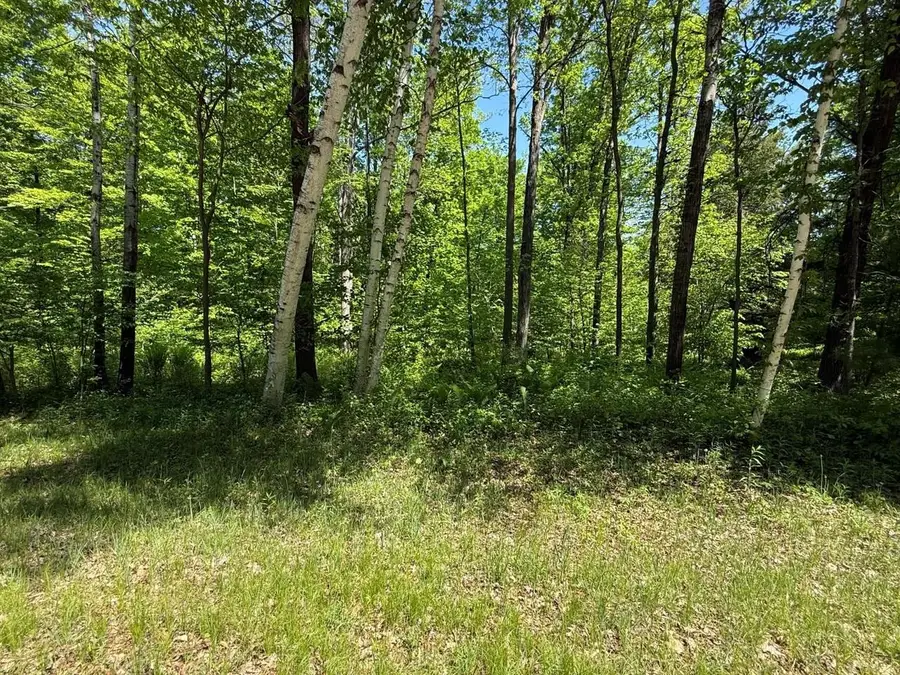 WILDERNESS TRAIL, Green Bay, WI 54313 - #3