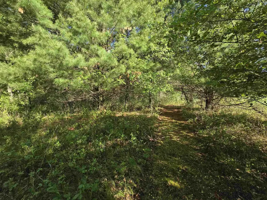 W8642 BIGHORN AVENUE, Wautoma, WI 54982 - #3