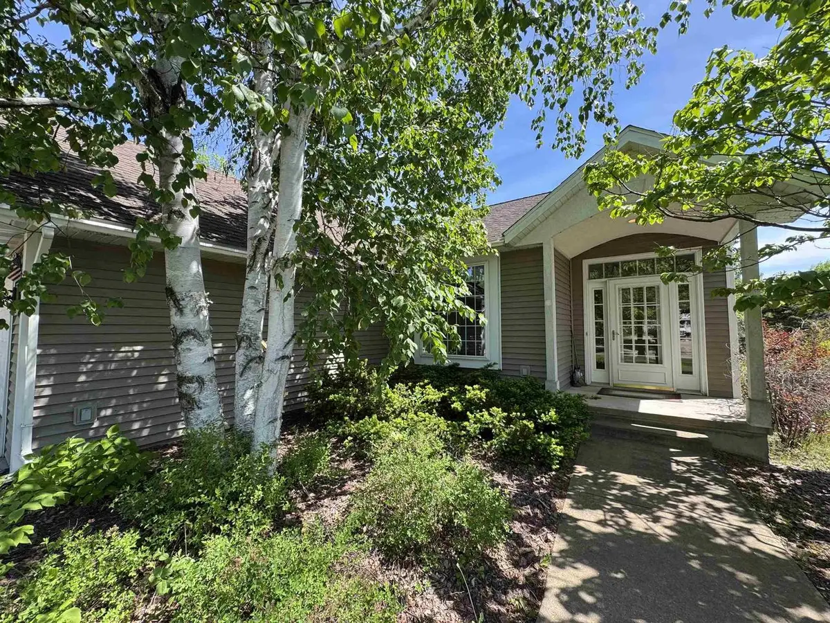 451 OAKVIEW MEADOW STREET, Amherst, WI 54406 - #1