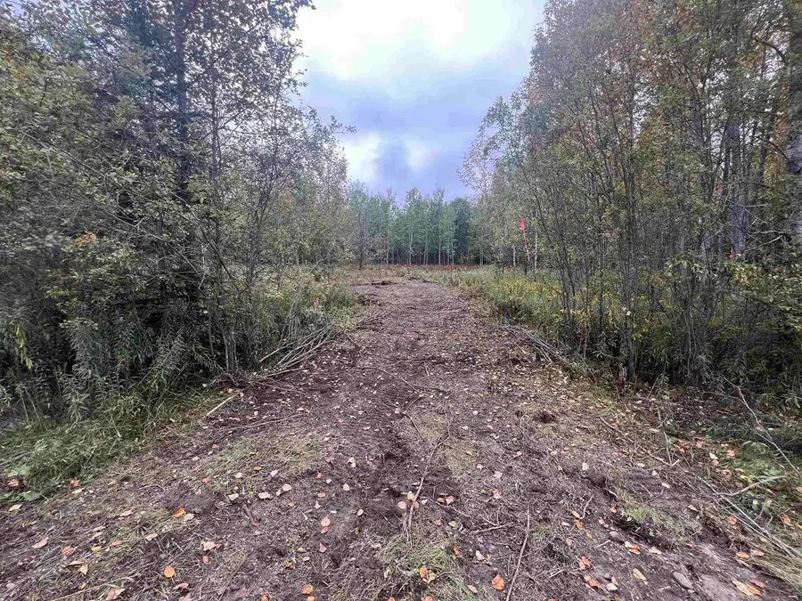 DREAM LAKE ROAD, Tipler, WI 54542 - #3