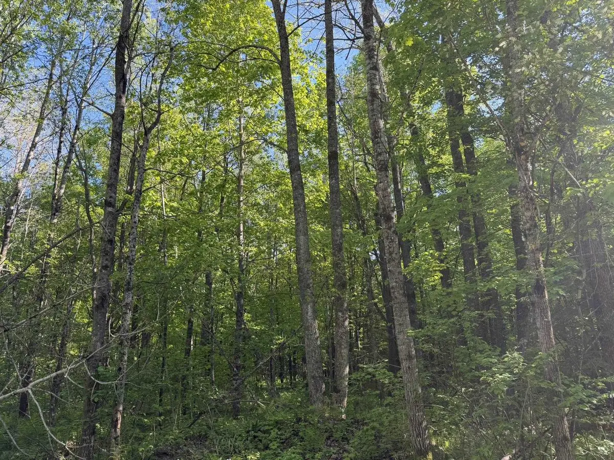 DREAM LAKE ROAD, Tipler, WI 54542 - #1
