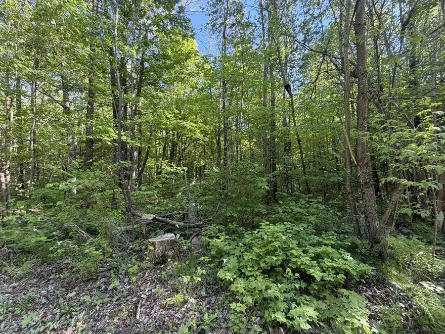 DREAM LAKE ROAD, Tipler, WI 54542 - #2