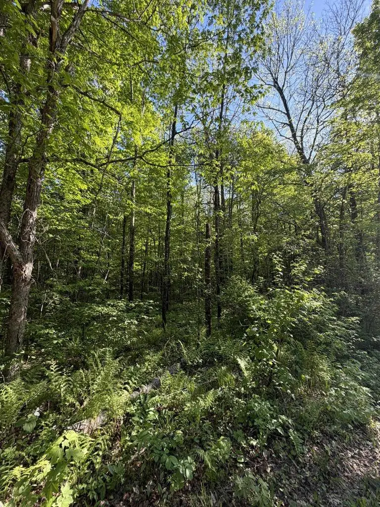 DREAM LAKE ROAD, Tipler, WI 54542 - #3
