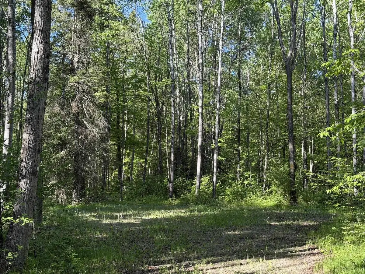 DREAM LAKE ROAD, Tipler, WI 54542 - #1