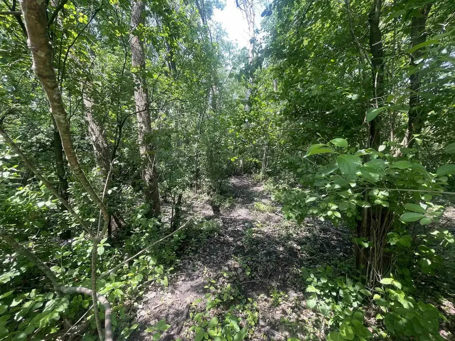 331 S WASHINGTON STREET, Berlin, WI 54923 - #2