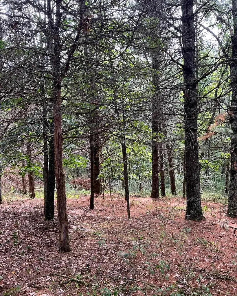 19TH ROAD, Neshkoro, WI 54960 - #2