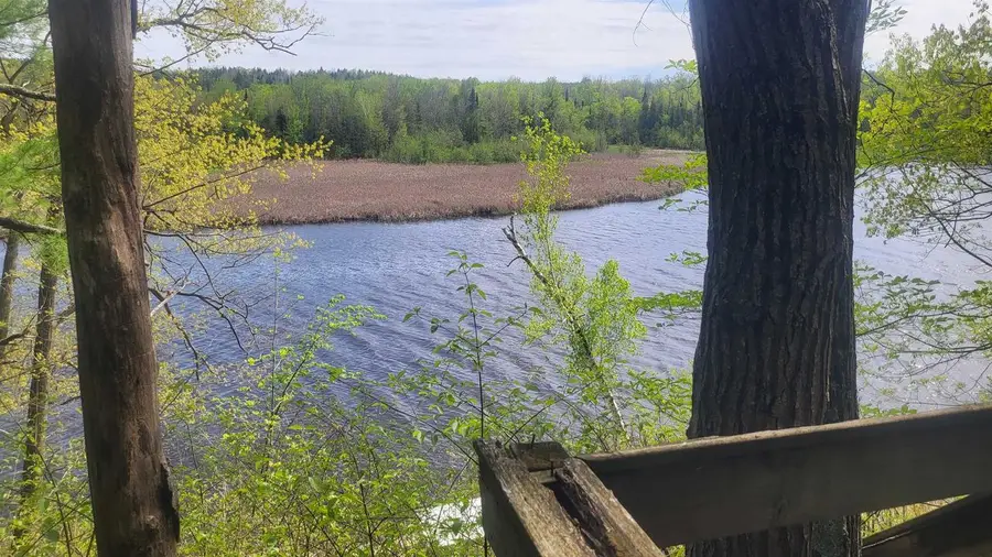 6615 BIRCHWOOD SHORES LANE, Oconto Falls, WI 54154 - #3