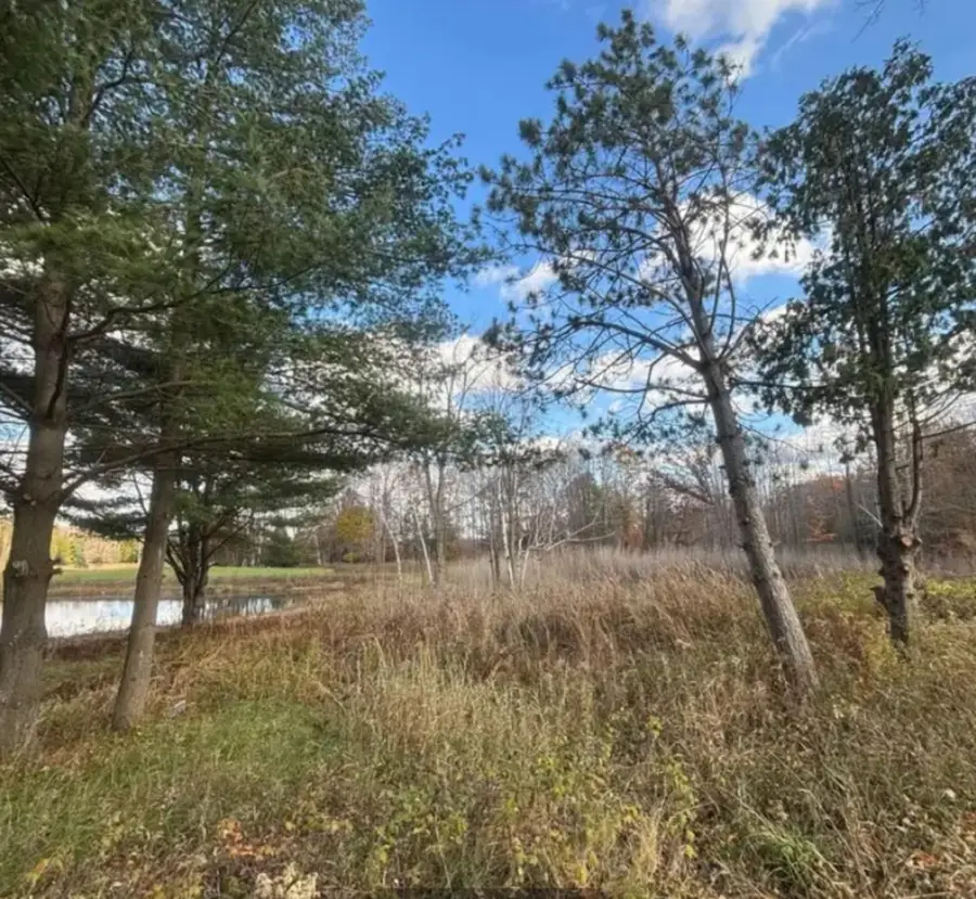 SPRING LAKE DRIVE, Sobieski, WI 54171 - #2