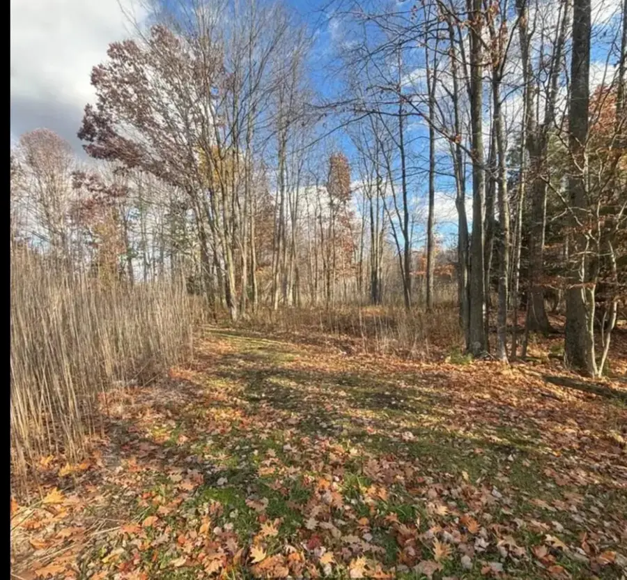SPRING LAKE DRIVE, Sobieski, WI 54171 - #3