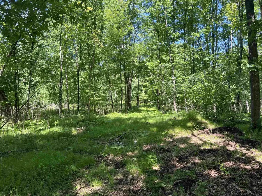 RHETT LANE, Wausaukee, WI 54177 - #3