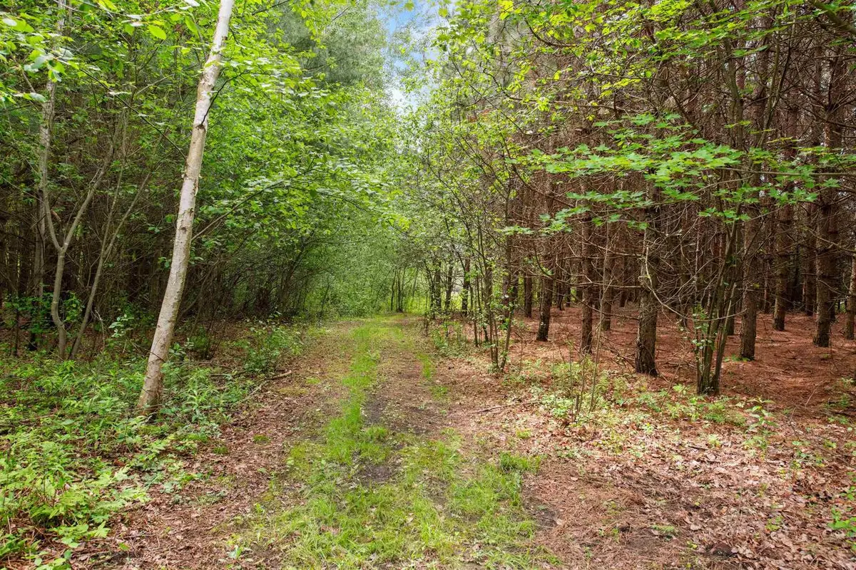 HALE SCHOOL ROAD, Peshtigo, WI 54157 - #1