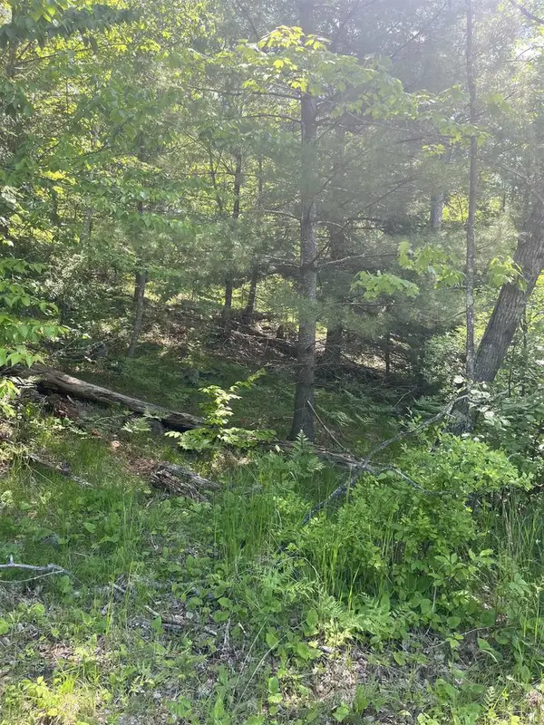 LAKE JOHN ROAD, Lakewood, WI 54138