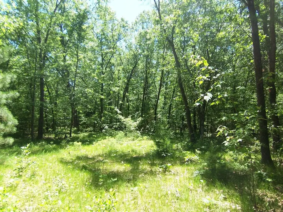 ANN COURT, Shawano, WI 54166 - #3