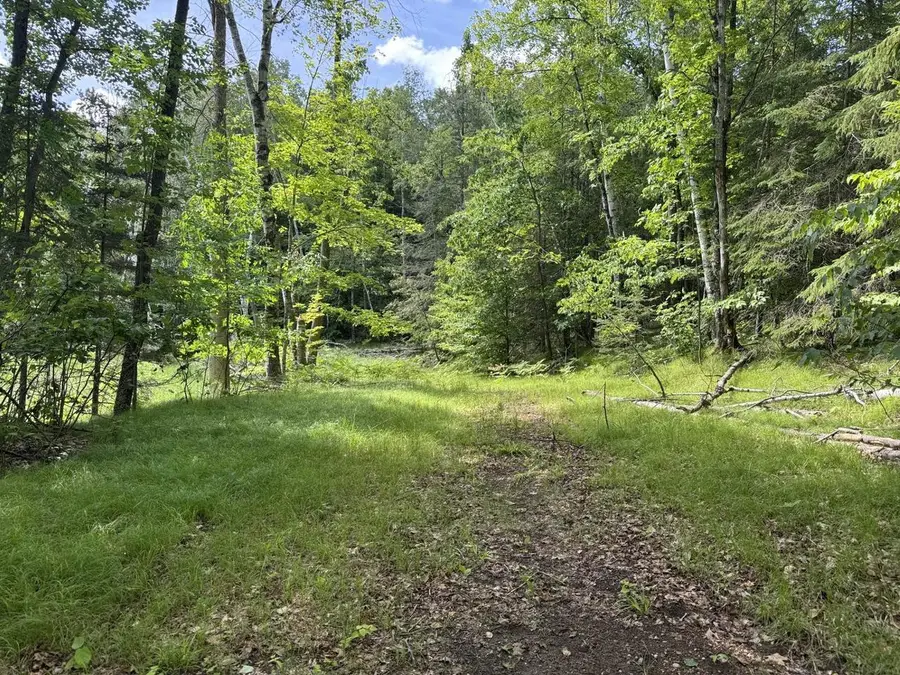 BLUE HERON LANE, Athelstane, WI 54104 - #2
