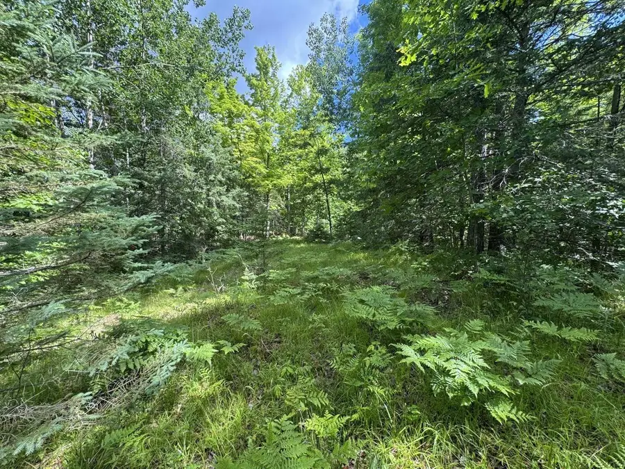 BLUE HERON LANE, Athelstane, WI 54104 - #3