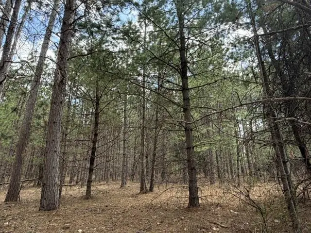 HATALAK DRIVE, Pembine, WI 54156 - #3