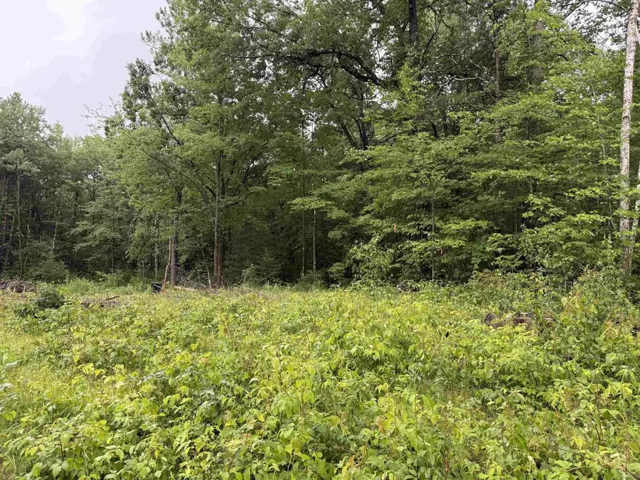 W1561 HAWKS NEST TRAIL, Keshena, WI 54135 - #3