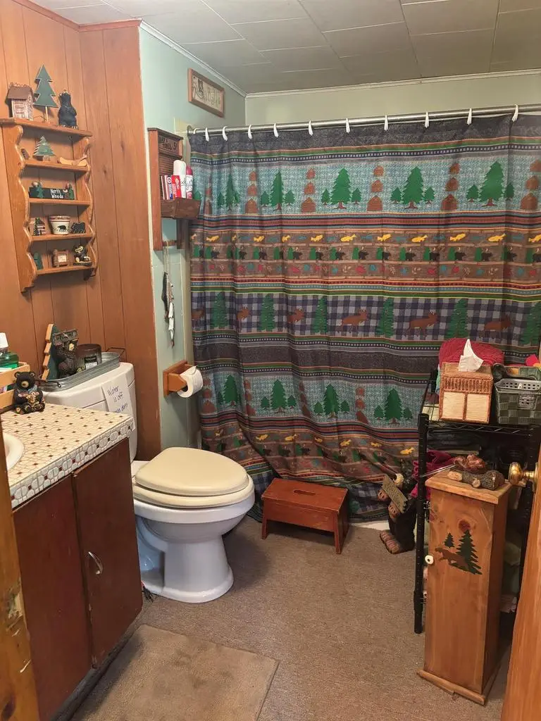 13344 STATE HWY 32 64, Mountain, WI 54149 - #3