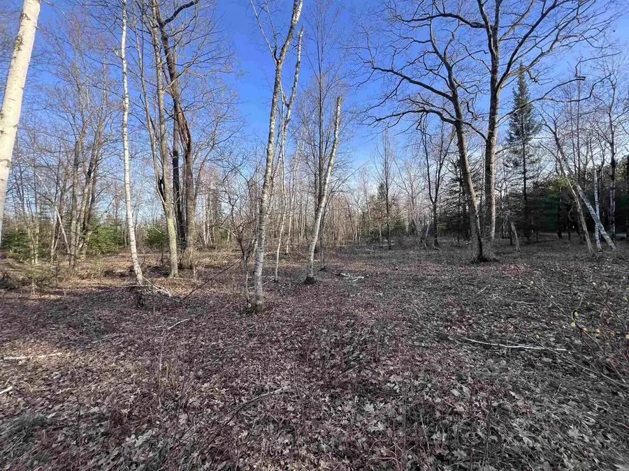 NEJEDLO ROAD, Wausaukee, WI 54177 - #2