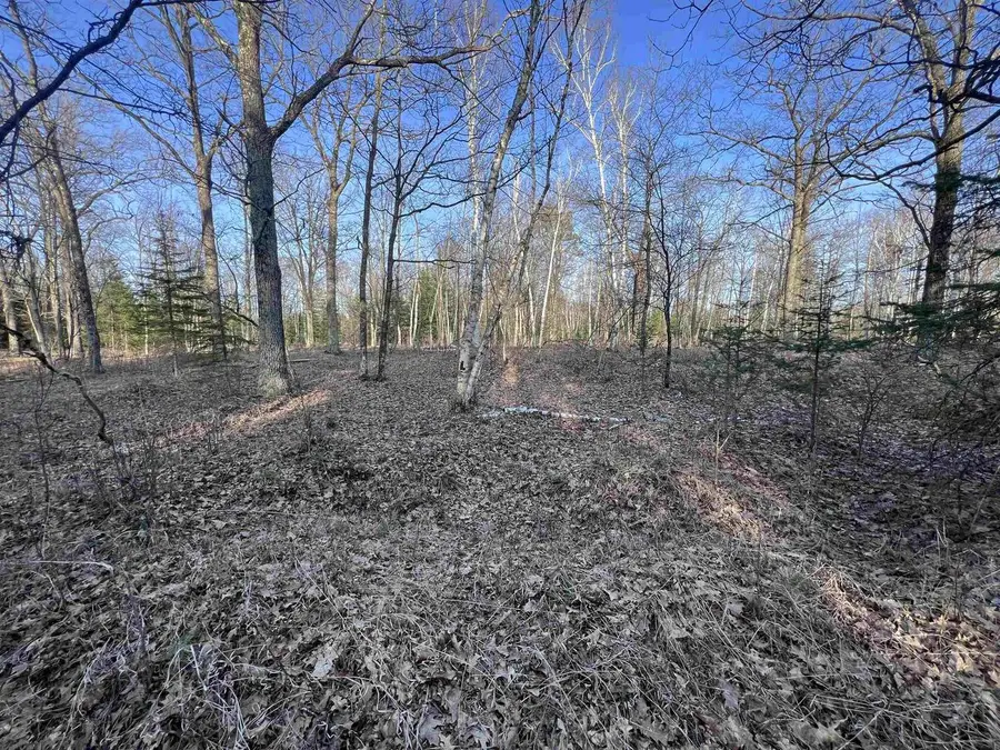 NEJEDLO ROAD, Wausaukee, WI 54177 - #3