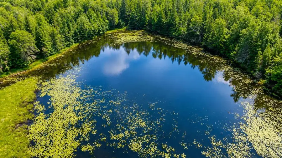 E BASS LAKE ROAD, Townsend, WI 54175 - #3