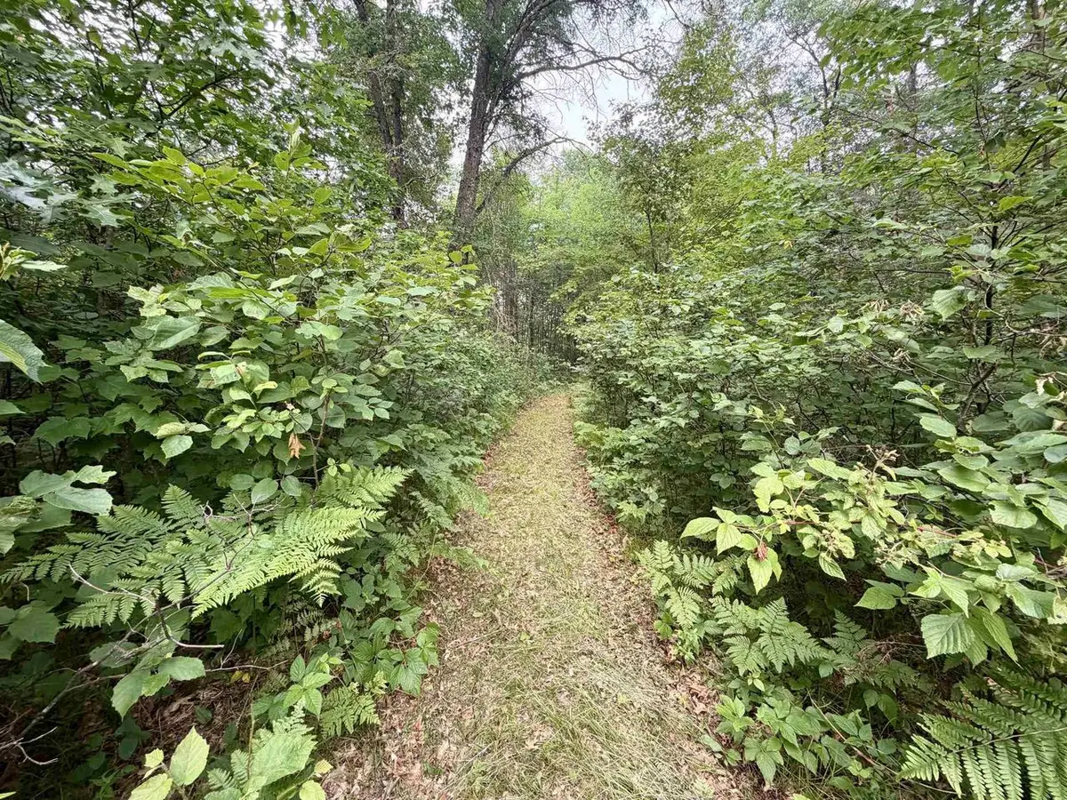 MERLIN LANE, Crivitz, WI 54114 - #1