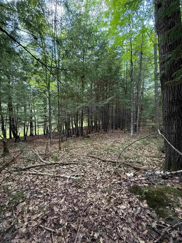 DEER LANE, Pelican Lake, WI 54463