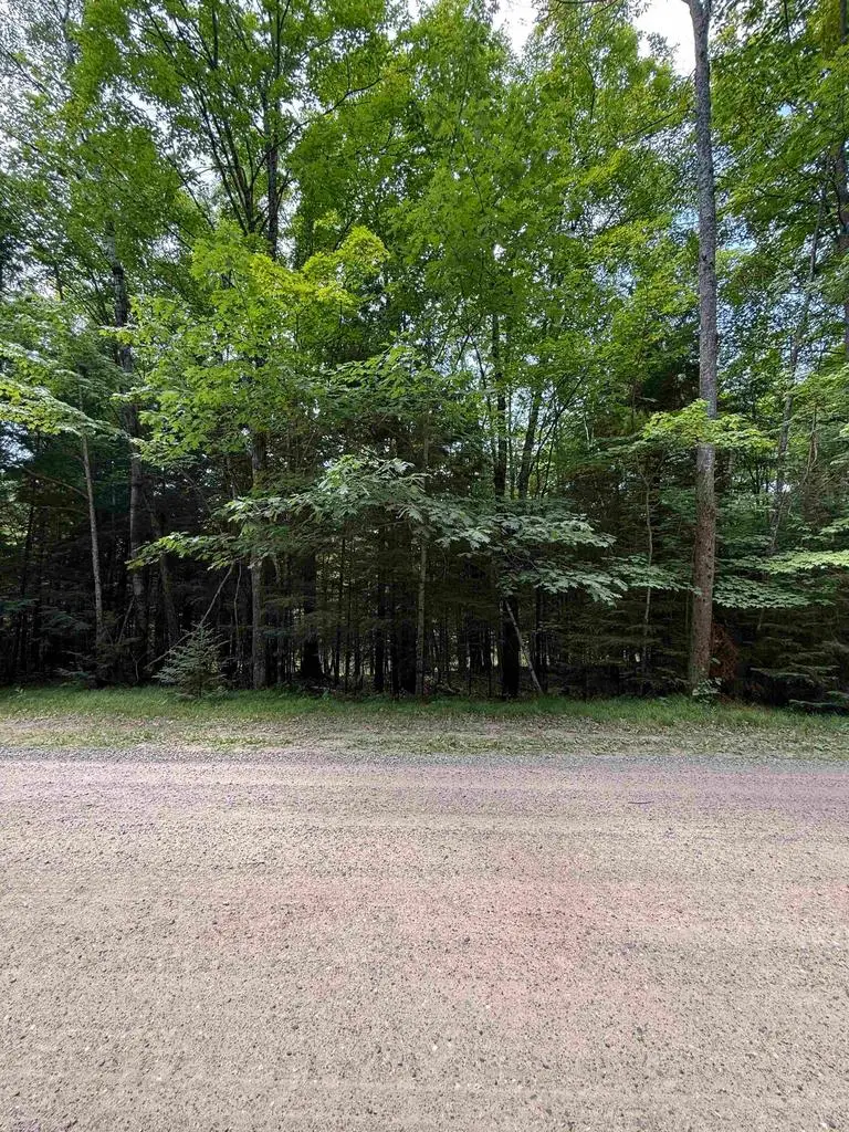 DEER LANE, Pelican Lake, WI 54463 - #3