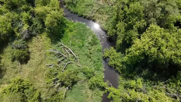 CENTER ROAD, Brandon, WI 53919