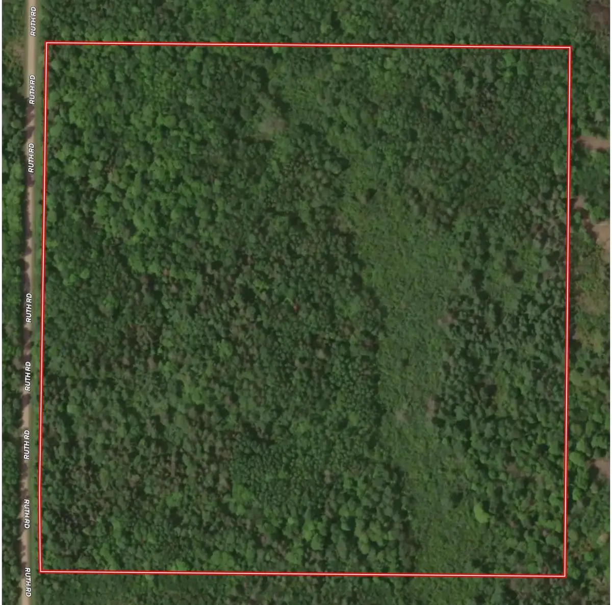 RUTH ROAD, Tripoli, WI 54564 - #1