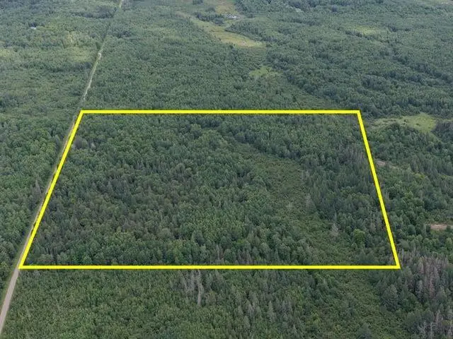RUTH ROAD, Tripoli, WI 54564 - #2