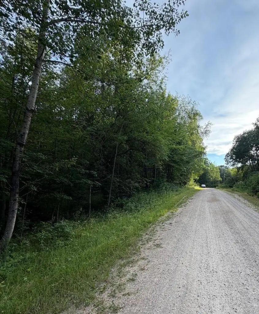 TOWN CORNER LAKE ROAD, Amberg, WI 54102 - #2