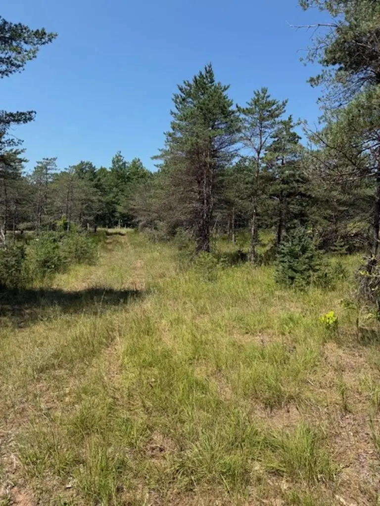 W7855 TRELLIS ROAD, Crivitz, WI 54114 - #3