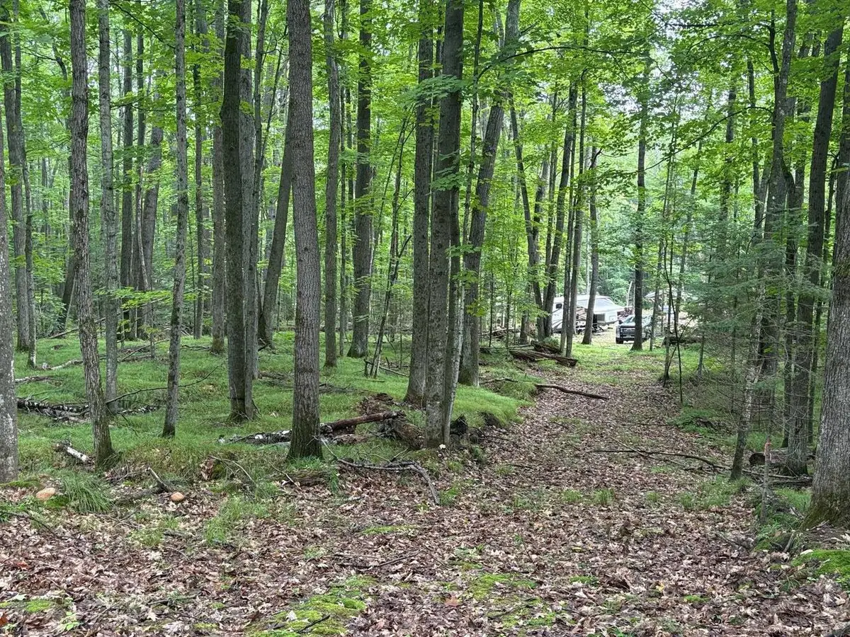 W15795 FAWN ACRES ROAD, Goodman, WI 54125 - #1