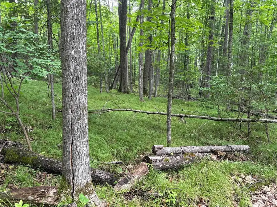 W15795 FAWN ACRES ROAD, Goodman, WI 54125 - #2