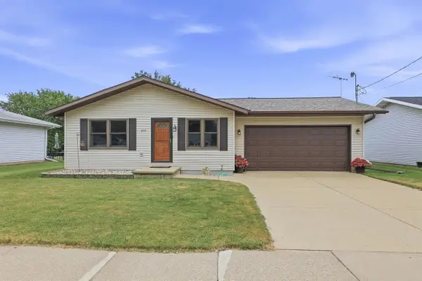 217 E MITCHELL AVENUE, Appleton, WI 54915