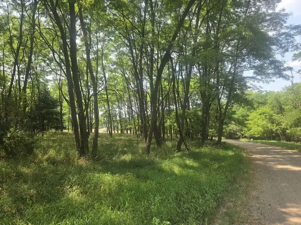 PINE STREET, Poy Sippi, WI 54965
