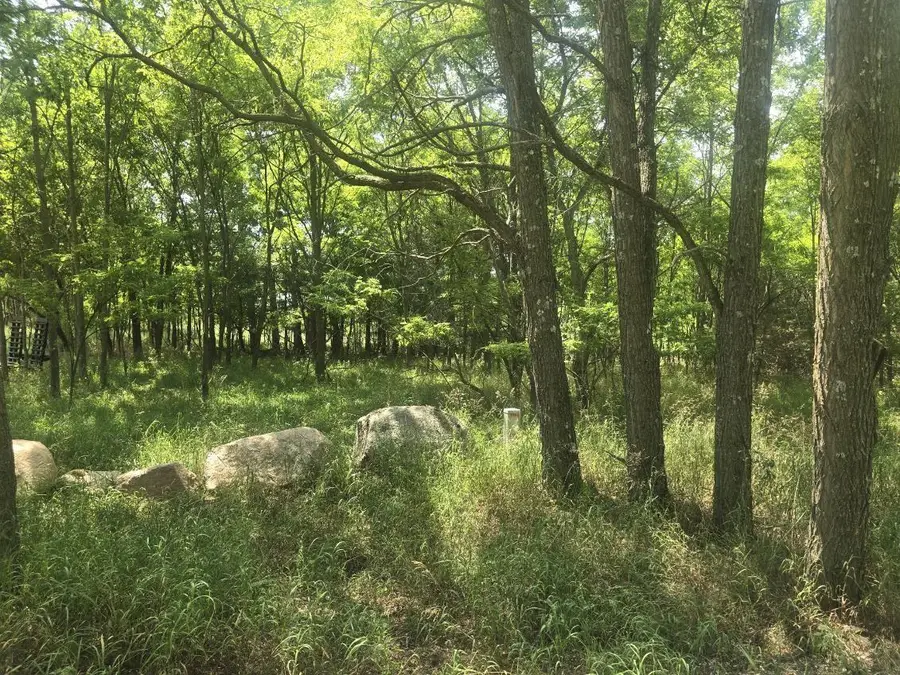 PINE STREET, Pine River, WI 54965 - #2