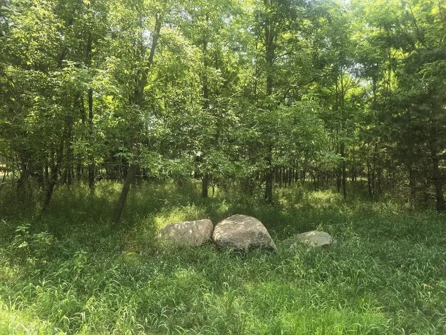 PINE STREET, Pine River, WI 54965 - #3